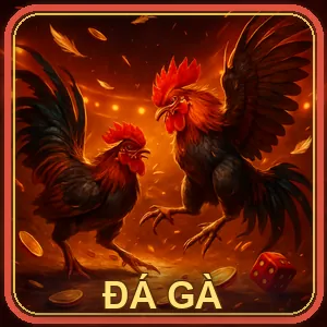 Đá Gà eo88
